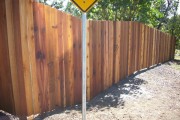 Western red cedar