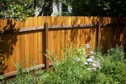 Stained Dog ear fence